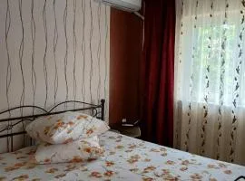 Vila cu Flori