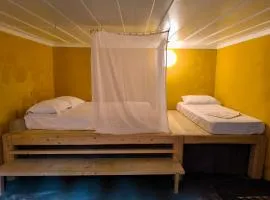 Color Suites