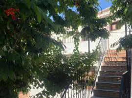 apartamentos CerroNegro