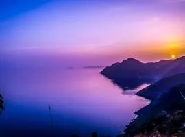 Senses view