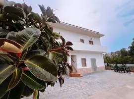 lagoAmare