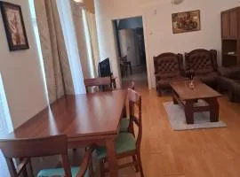 BIG PARTY apartment 12 people