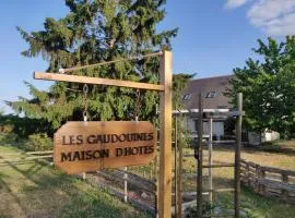Les Gaudouines