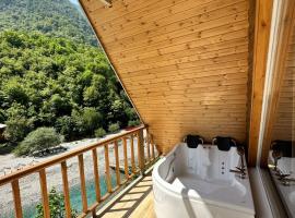 Ronis Place, готель у місті Шкодер