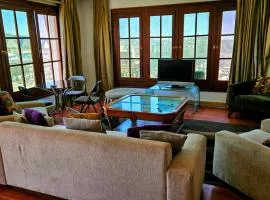 Cosy Apt with Panoramic Pyramids & Museum view
