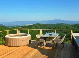 Vineyard cottage Pri mali luži