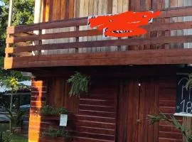 Marujus cotijuba