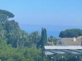 Villa avec piscine à Super Cannes