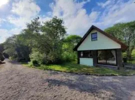 The Singing Heart, TirNaNog Cozy Cottage near Lochgilphead !!HIDDEN GEM!!