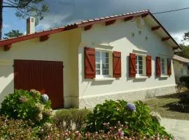 Les Ajoncs