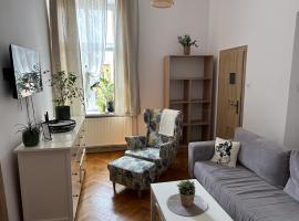 Apartamenty Stare Miasto Boho Parking，位于新松奇的酒店