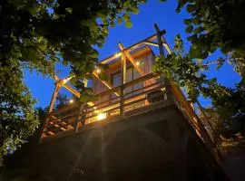 L'Observatoire Sauvage - Climatisation - Nature - Insolite - Amboise