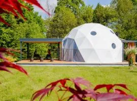 Cozy Fizio Dome