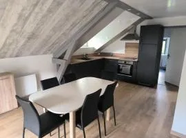 La Bourboule - Étoile des neiges - Appartement refait à neuf - 2 chambres wifi - randonnée la Roche des Fées