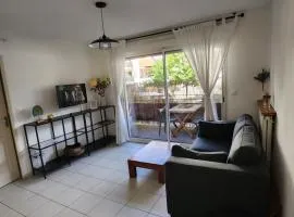 appartement terrasse Montpellier
