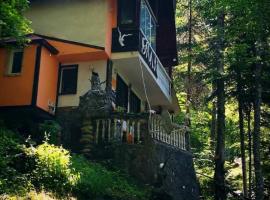 Villa Byala Luna - Guest House, hotel que acepta mascotas en Bistritsa