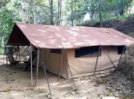 Ferme De Cabessières