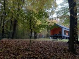 Лісовий Еко-будинок з сауною біля Львова