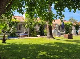 Monte das Aranhas