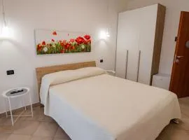 B&B SediciMarzo