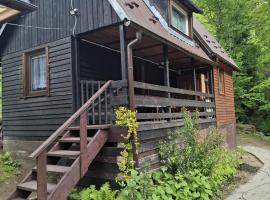 Duży drewniany domek nad rzeką, Obidza 381, Łącko – hotel w mieście Obidza