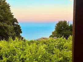 Erato's Nest - Pelion