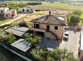 Casa vacanze Simple Houses