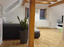 Steggasse1