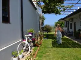 Rustic Tale Guesthouse