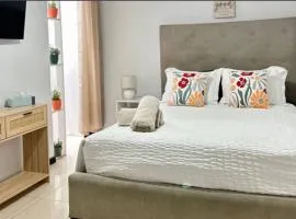 Room in Guest room - Cozy Room in Central San Jose with Private Entrance