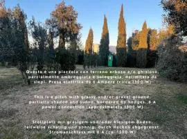 Agricampeggio Ippocampo