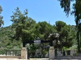 Likya Guest House