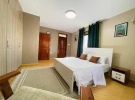 Luxury Lounge Apartment
