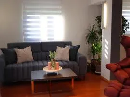 Penthouse Sea View Pula