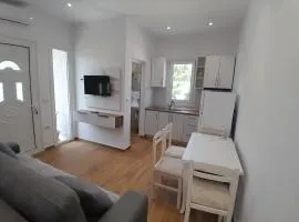 Vila Damir