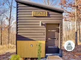 Bird's Nest Spruce at Treetop Escapes