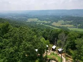 Bird's Nest Spruce at Treetop Escapes