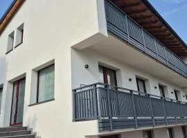 Alps lodge