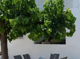 Fivi