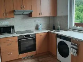 Apartmánový byt Dáša