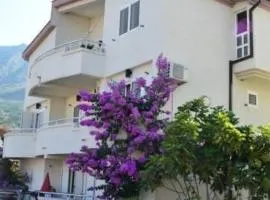 Villa ALEA