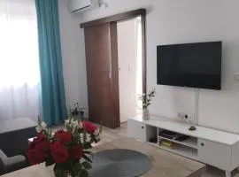 Apartman Simijonovic