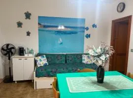 Baja SMERALDA
