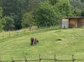 Freedoms Reins Farm B&B