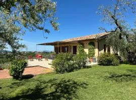 Olivella e Oleandra