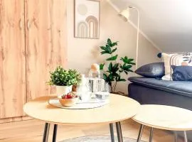 Apartamenty Pokoje City Lake House