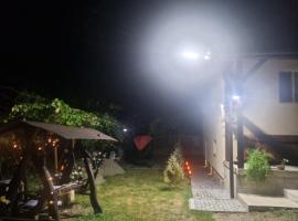 Casa Larisa, biệt thự ở Bîrsău