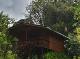 Cabañas de Chango
