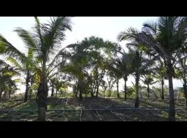 Talyachi Wadi - Agro-tourism center & Cultural Center