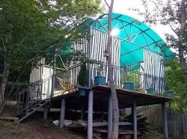Eco cottages at D